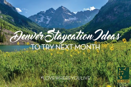 Denver-Staycations