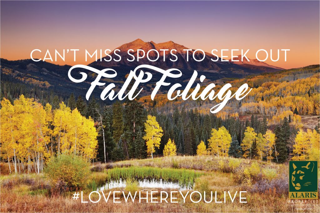 Colorado-Fall-Foliage