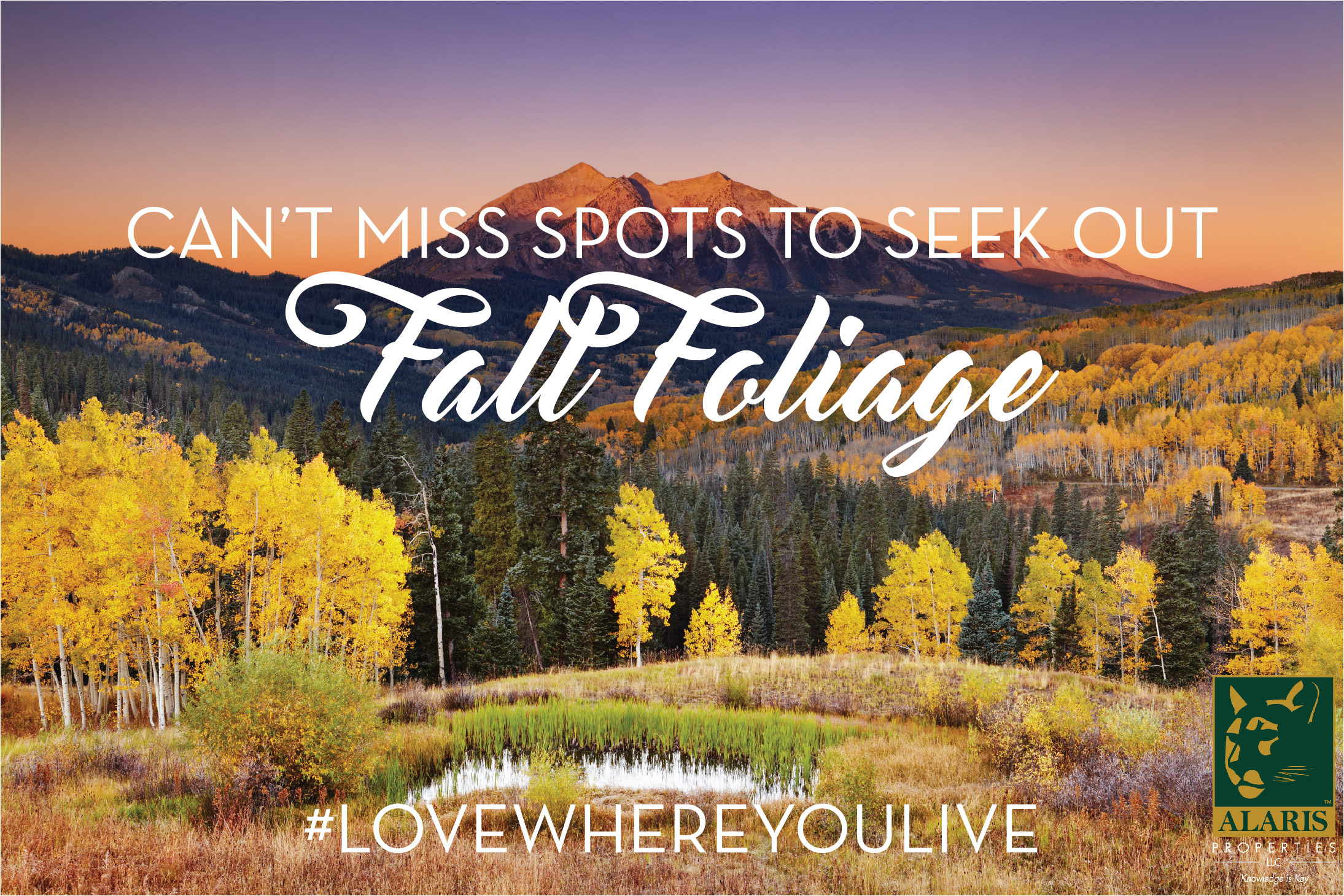 Colorado-Fall-Foliage